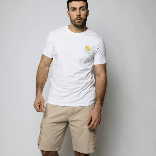 REMERA ABERCROMBIE LEMON BLANCA