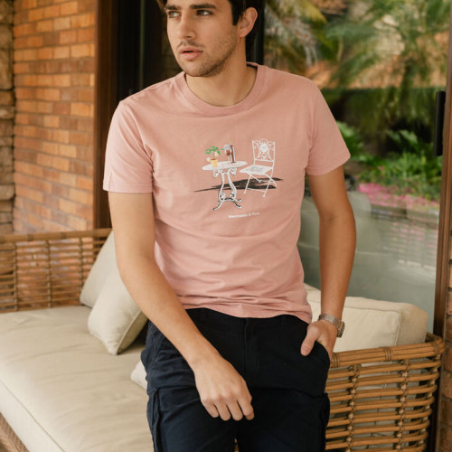 REMERA ABERCROMBIE REGLUAR FIT LANDSCAPE ROSADA