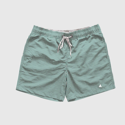 SHORT DE BAÑO LIBERATO BASICS RAYITAS VERDE
