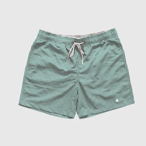 SHORT DE BAÑO LIBERATO BASICS RAYITAS VERDE